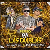 Perreo pa las diablas - Single - Dj Alitas