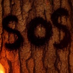 SOS - Single