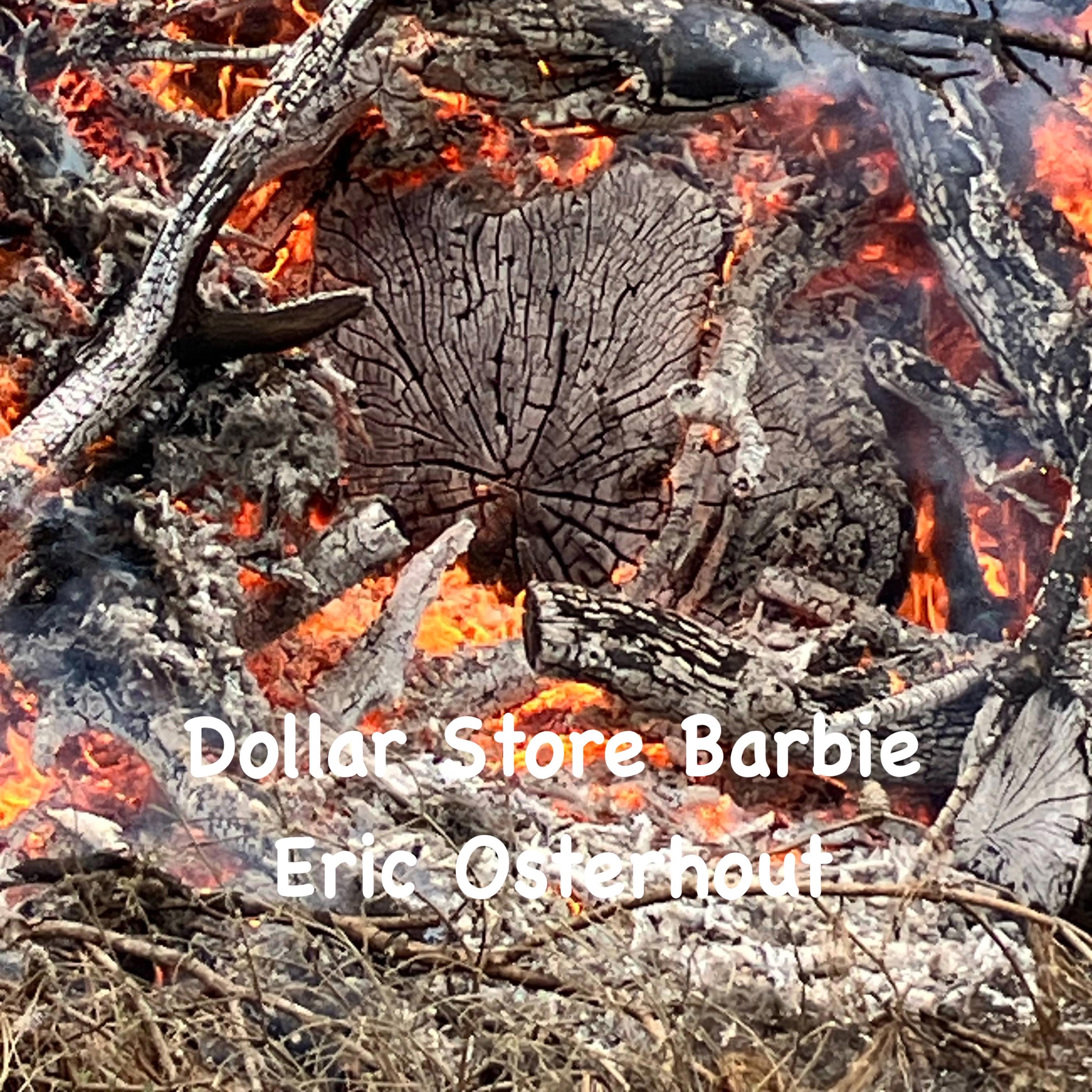 Dollar Store Barbie - Single
