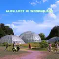 Alice Lost in Wonderland