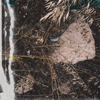 BULAMAZSIN / (FARKIM VAR II) - Single - Flavo