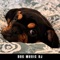 Puppy Sleep - Dog Music DJ lyrics