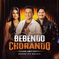 Bonde do Brasil