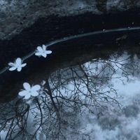 anxiety - Single - Shadowverse