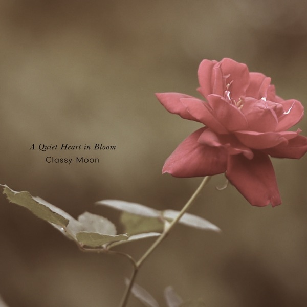 A Quiet Heart in Bloom