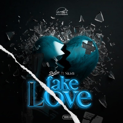 Fake Love (feat. Skidi) - Single
