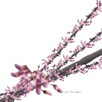 Yamoré Remix (feat. Daniel Aime) - EP - Luciano & Pepe Bombilla