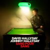 David Hallyday & Johnny Hallyday - Sang pour sang Grafik