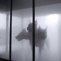 GOTHEX - Single - N!GHTvisiøn