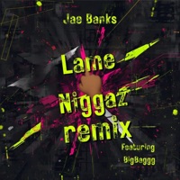 Lame N****z (feat. BigBaggg) [Remix] - Single - Jae Banks