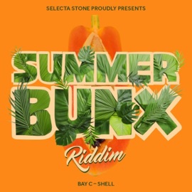 Shell BAY-C & Selecta Stone