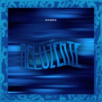Montagem Reluzente - Single - DJ FLAVIN ZL