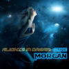 Flights In Dream - Stive Morgan