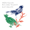 If Nothing Is Real - Piers Faccini & Ballaké Sissoko