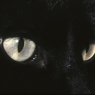 Take Me Away - Single