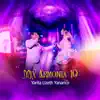 Yarita Lizeth Yanarico - Mix Armonía 10