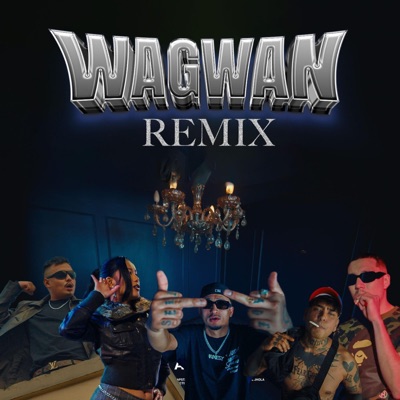 Wagwan (feat. Rigden Nadik) [Remix] - Single
