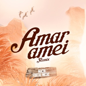 Amar, Amei (feat. Mc Don Juan) [Remix]