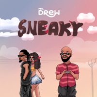 Sneaky - Single - Mr Drew