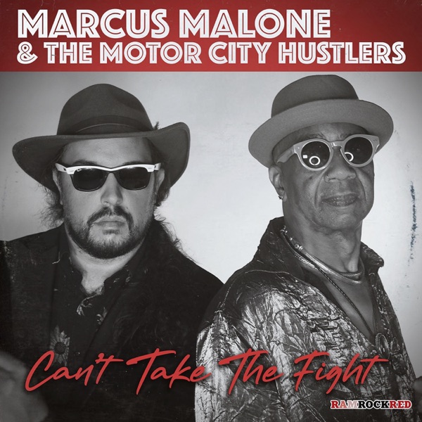 Can't Take the Fight - Single