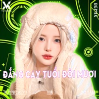 Đắng Cay Tuổi Đôi Mươi (Remix) - Single - Huỳnh Ái Vy & VM