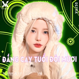 Đắng Cay Tuổi Đôi Mươi (Remix) [Short Version 1] Huỳnh Ái Vy & VM