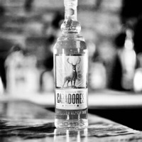 Issue - Single - Lil Scotty Pz