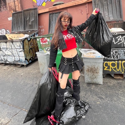 Disposable Partners - Single