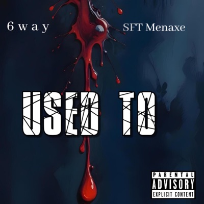 Used To (feat. SFT Menaxe) - Single
