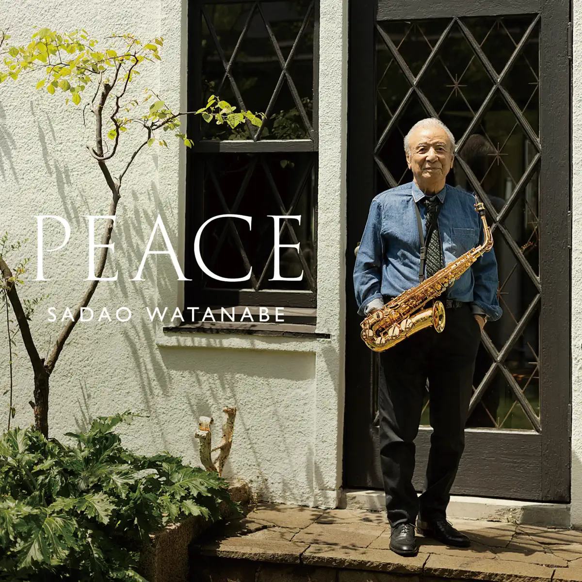 渡辺贞夫 - PEACE (2024) [iTunes Plus AAC M4A]-新房子