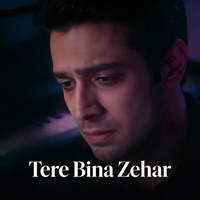 Tere Bina Zehar - Single - Shrawan Bhawani & Rohan Biswas