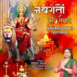 Navraton Ki Taiyaari