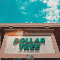 Dollar Tree - Single - Paperdrank