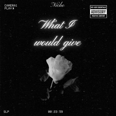 What I would give - Single