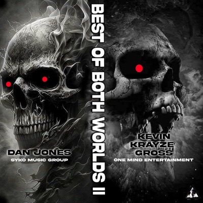 BEST OF BOTH WORLDS 2