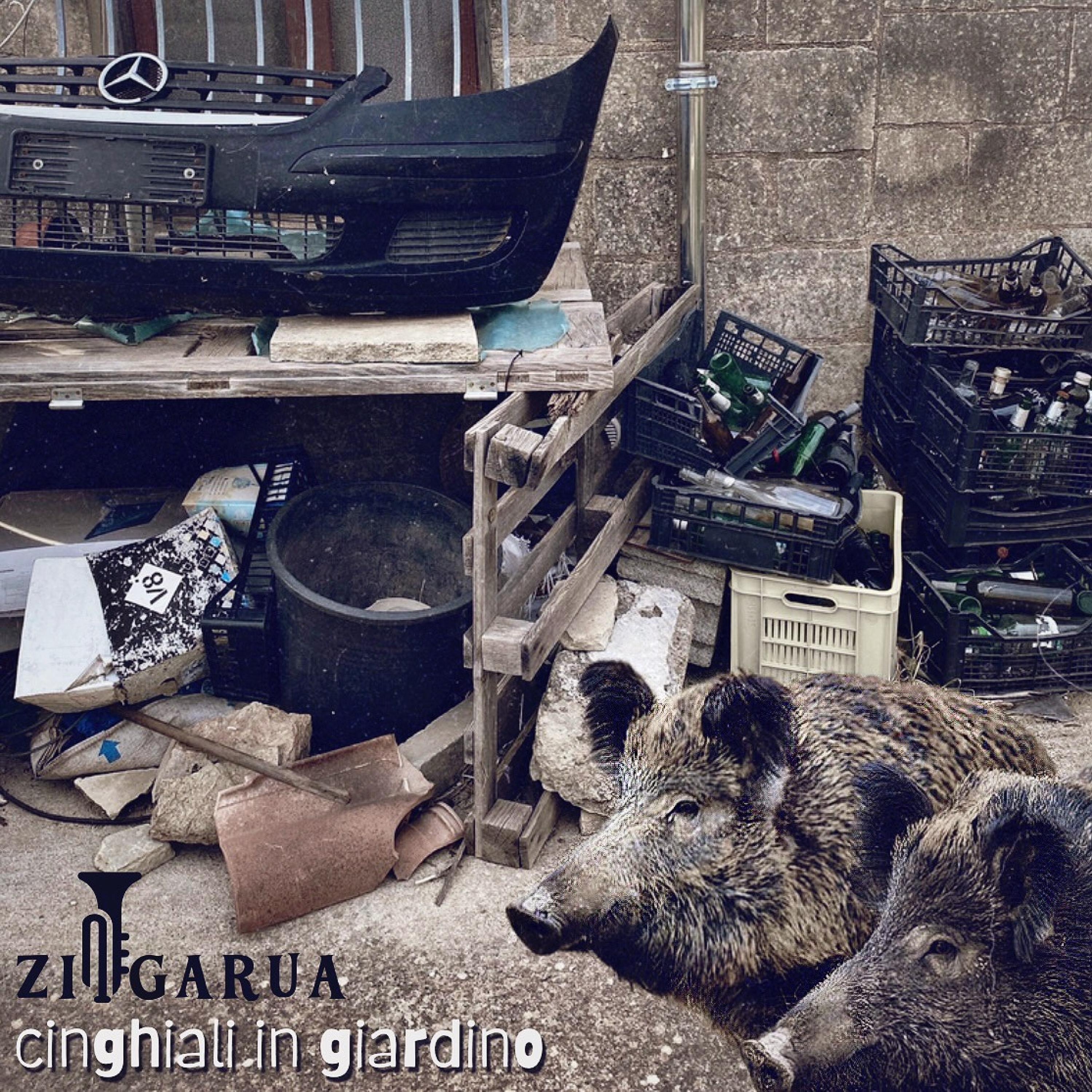 Cinghiali in Giardino - Single