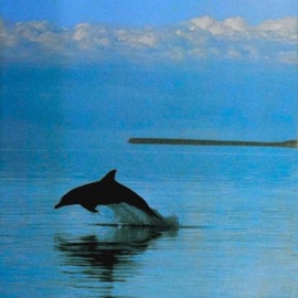 Ocean Origins Retro.spect