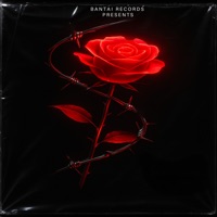 Memories - Single - Shez