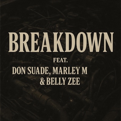 Breakdown (feat. Don suade, Belly_Zee & Marley M) - Single