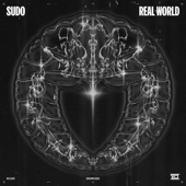 Real World (Extended Mix) artwork