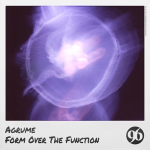 Form over the Function - Single