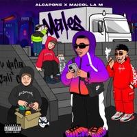 Males - Single - Alcapone & Maicol La M