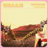 Valle - Single (feat. Danny Rose & Tre Castro) - Single - Cristian 805