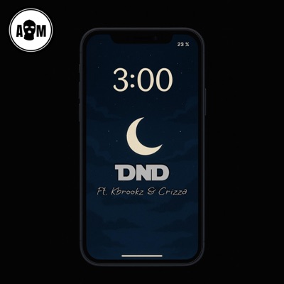 DND (feat. Kbrookz & Crizza) - Single
