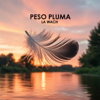 Album cover for Peso Pluma by La Wach