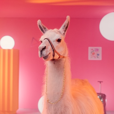 По приколу - Single