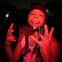 MODO 40 - Single - Steelo Flow