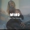 Wind - DANI THE UNICORN lyrics