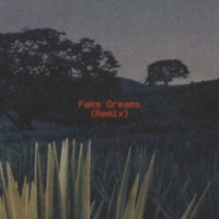 Fake Dreams (feat. Aylius) [Remix] - Single - Silk World