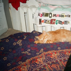 Олег или негр Бездомный